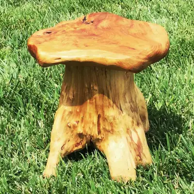 Mushroom Garden Stools Buyers Guide featured - a cedar wood Mushroom Garden Stool on the lawn