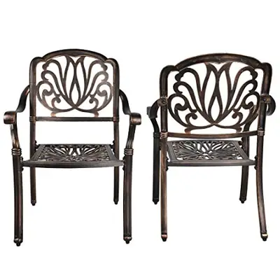 USSerenaY 2 Piece Cast Aluminum Bistro Chair Set Outdoor Bistro Patio Furniture Sets (2 Chairs Set-Flower) - bronze cast aluminum patio chairs - B08H4WNXPG